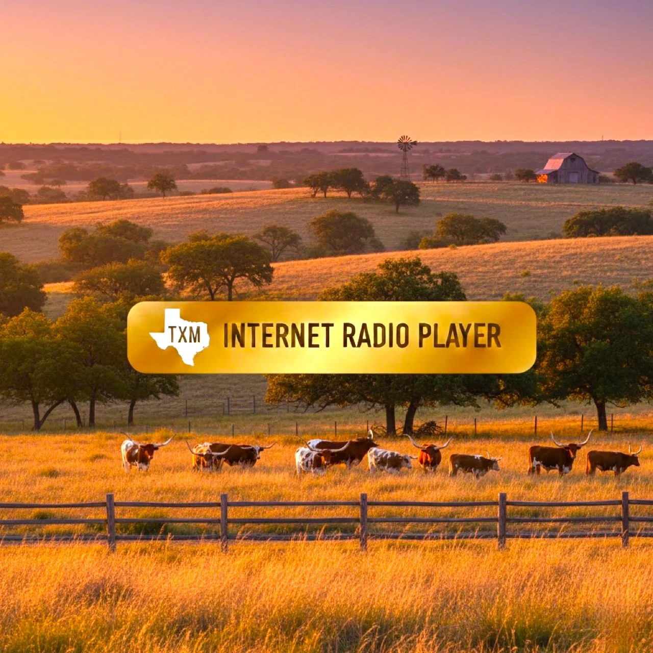 TXM Internet Radio Player